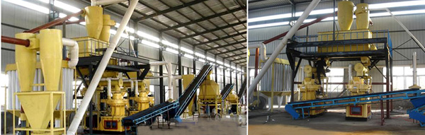 6t/h Wood pellet production line